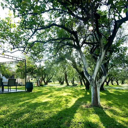 House 別荘 Sfakerá