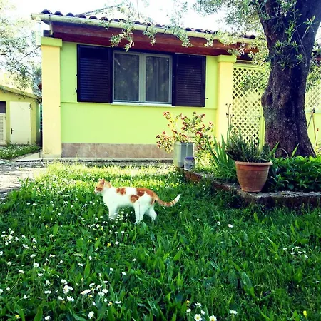 House Holiday home