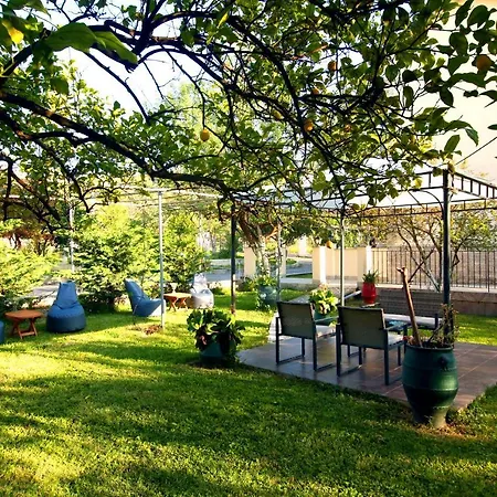 House Holiday home *