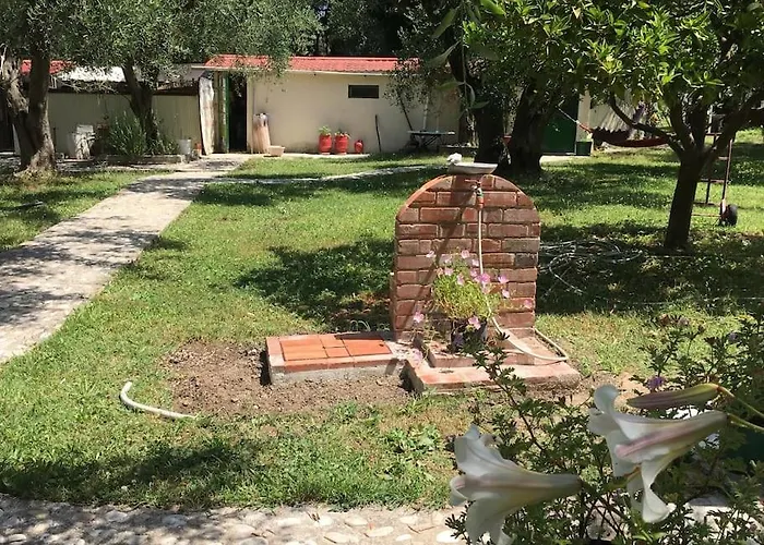 Dom wakacyjny House *