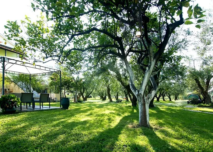 House Dom wakacyjny Sfakerá